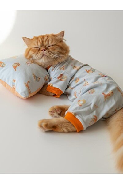 Kemique طقم نوم مريح للقطط من القطن الممشط مع وسادة |   يساعد على تقليل تساقط...