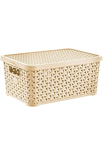 Hobby Life Rattan Design Storage Box with Lid, 10 Litre, Multi-Color