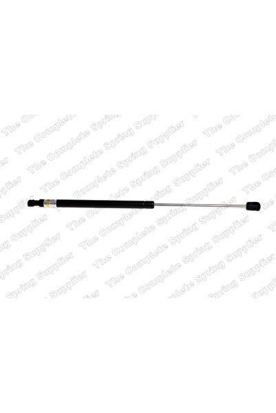 RINGER Amortizor Portbagaj Spate Skoda Fabia 2