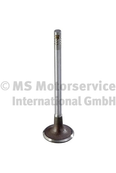 TRW Engine Component Supapa Admisie Citroen Berlingo/C-Elysee/C3 3 Ford Ecosp...