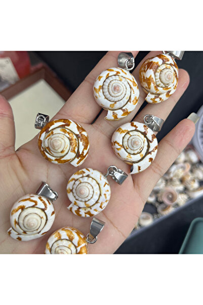 Choice 5pcs 5pcs 23x27mm Conch Shell-shaped Pendants Natural Freshwater Shell...