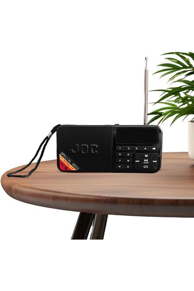 OEM JOC portable digital radio, FM radio, versatile Bluetooth connectivity, U...