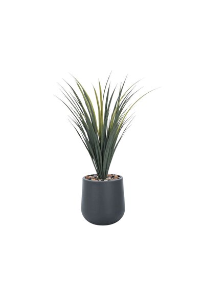 Generic Modern Artificial Cactus – 70 cm Height with Sleek Small Pot