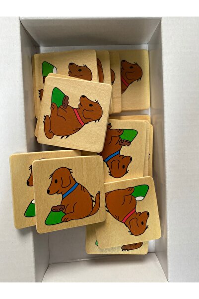 Beleduc Flip Flop Zeka Oyunu