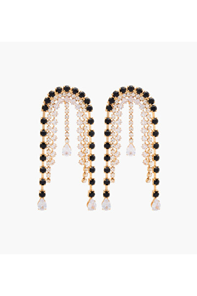 Lifestyle Stone Embellished Dangling Earrings with Pushback Closure