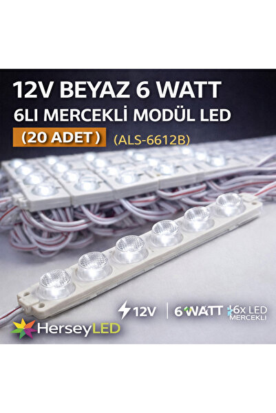 ALLES 12V BEYAZ 6 WATT 6LI MERCEKLİ MODÜL LED ( 20 ADET )