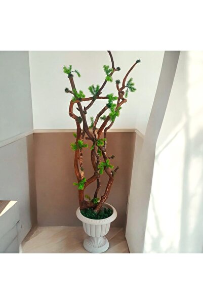 YEŞİLADA Yapay Bonsai Bonzai Ağacı 1.70 Mt Boy Doğal Kıvrımlı Dallar Gövde