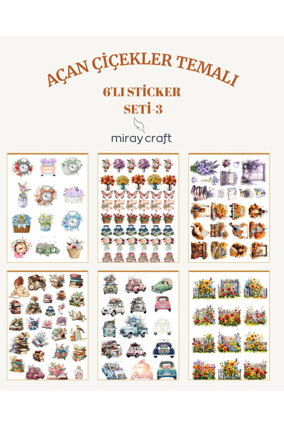 MirayDesign 6 listova seta naljepnica sa temom cvetajućih cveća – 12x17 cm za...