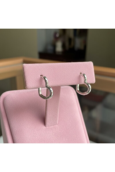 Mira Glam Heart earrings