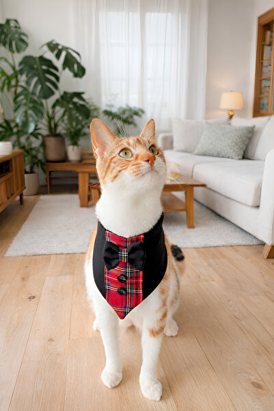 Minikpaw aksesuar Plaid Tuxedo Scarf for Cats and Small Breed Dogs
