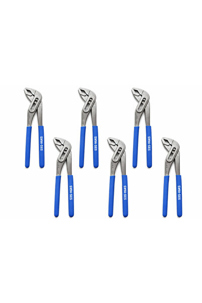 SEGASAN FORD PAPAĞAN PENSE 6 ADET