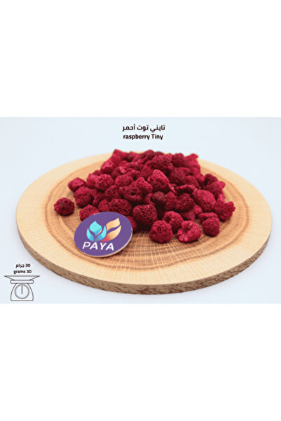 PAYA future تايني توت احمر مجفف بالتجميد 30 جرام Tiny Raspberry