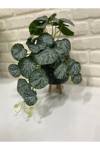 çiçek rengi dekor Artificial Veined Round Leaf Hanging Plant – Green Decorati...