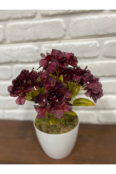 çiçek rengi dekor زهرة الأورتندكا الاصطناعية باللون العنابي مع 7 فروع - زهرة ...