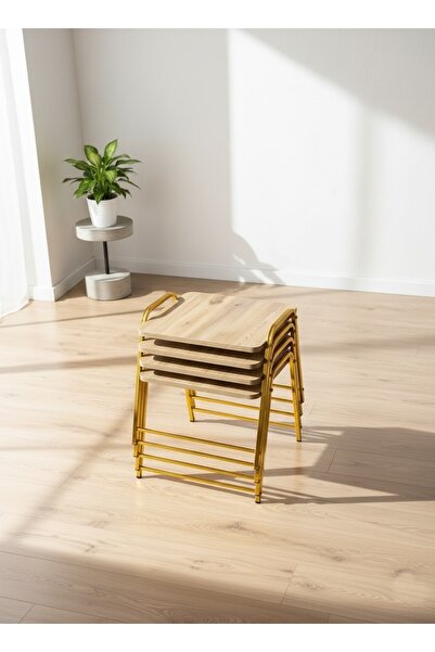 Zigon 4'LÜ TEPSİ MODEL MODERN SEHPA