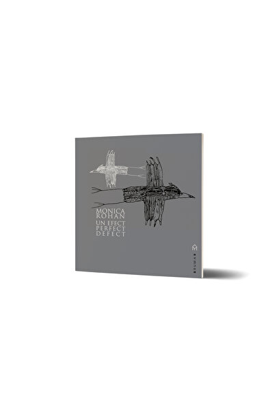 Editura Brumar A perfectly flawed effect