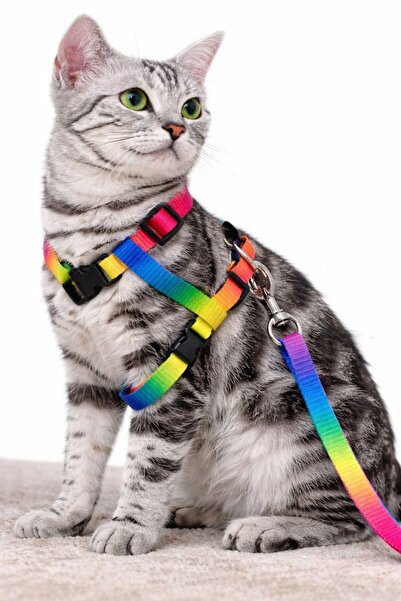 NORDVIA E-COMMERCE حزام صدر قابل للتعديل للقطط مع حزام للتنقل