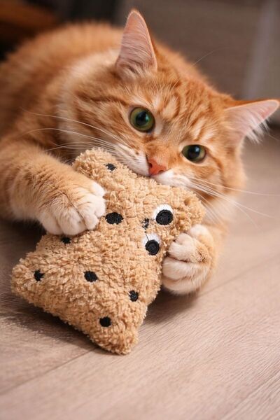 NORDVIA E-COMMERCE لعبة قطيفة ناعمة للقطط والكلاب