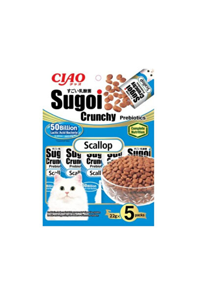 INABA CIAO تشاو سوجوي بنكهة الإسكالوب المقرمشة + بريبيوتيك ٥ × ٢٢ غرام