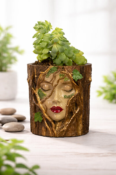 barsdepo Doğal Ağaç Kız Figürlü Sukulent & Çiçek Saksısı – Dekoratif Tasarım