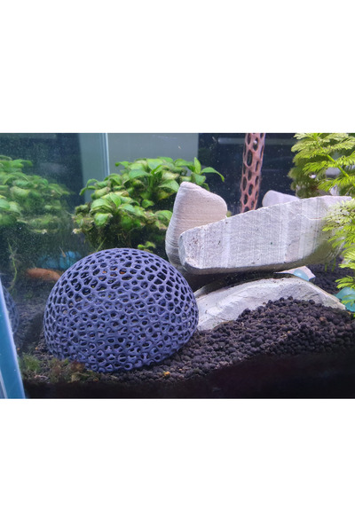 barsdepo AKVAYUM KARİDES SAKLANMA MAĞARASI