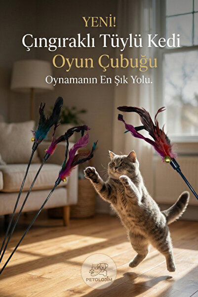 Petolojim 2-Pack Cat Play Stick with Rattle and Colorful Feathers - Interacti...