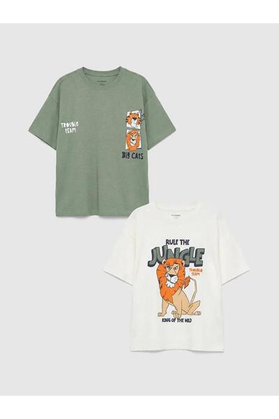 LC Waikiki Lion Printed Boys' T-Shirt 2-Pack (S6)