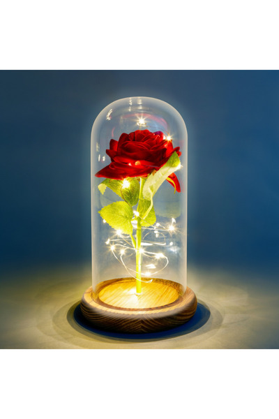 Alista Home Artificial Rose in Glass Dome with Warm LED Lighting, 22 cm Height