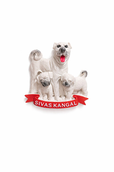 REYYAN Sivas Kangal ve yavruları magneti