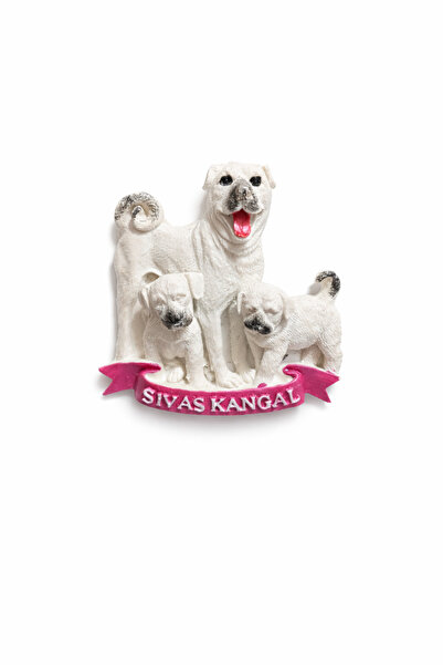 REYYAN Sivas Kangal ve yavruları magneti