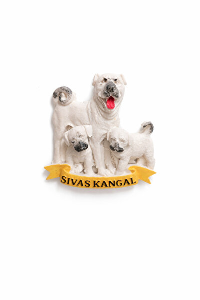REYYAN Sivas Kangal ve yavruları magneti