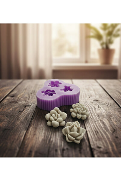 Liva 3 Lü Sukulent Mum Sabun Silikon Kalip