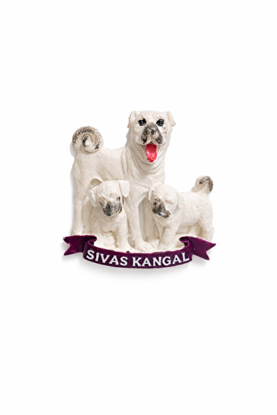 REYYAN Sivas Kangal ve yavruları magneti