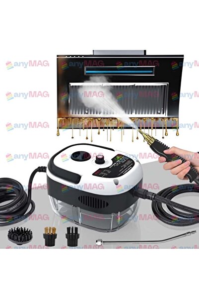 OEM Portable Steam Cleaner 2500 W