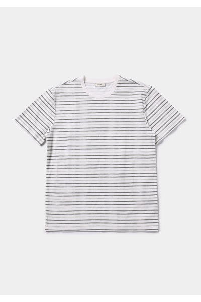 Colin's Регулярний крій, круглий виріз, смугастий, чоловічий, зелений, коротк...