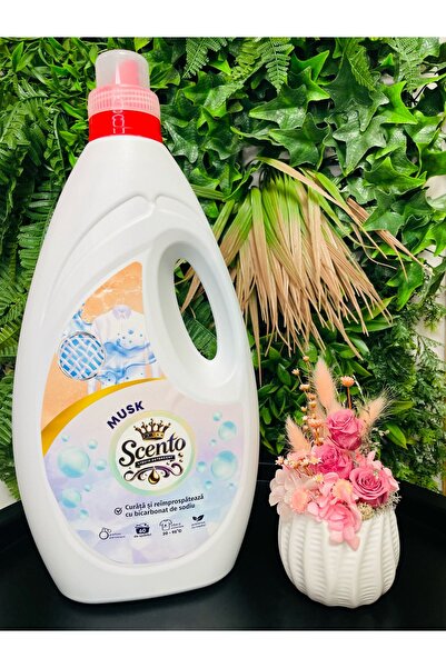 SCENTO Laundry detergent Premium Musk 3L