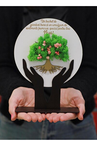 lemn Marshmallow with stabilized natural lichens for NASA