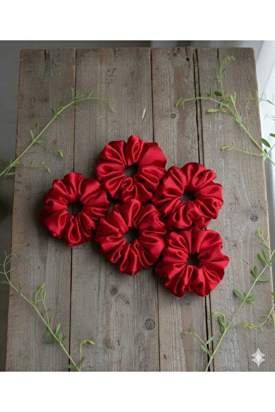 diclecollection Women's 5-Piece Satin Red Buckle Set/Elastic Red Satin for He...