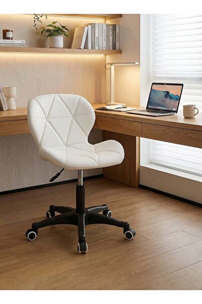 Taimi Ergonomic Adjustable Height Desk Chair with Plush Cushion and High Dens...