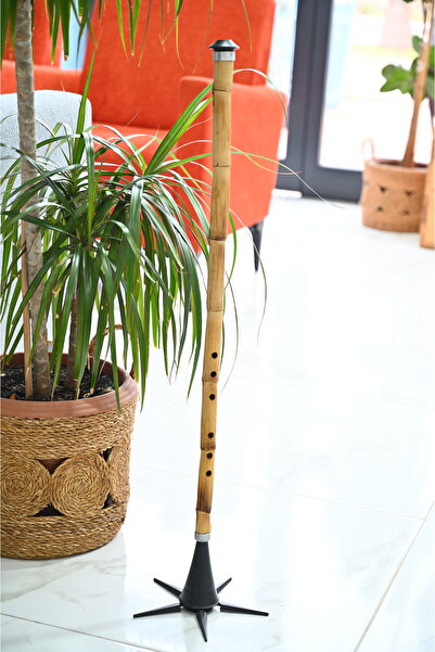 Ay Orjinal Kamış kız ney Mi karar + kılıf