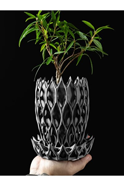 zWorks Crown Parametrik Tasarım Dekoratif Saksı