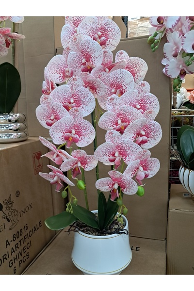 Abasic Artificial flowers in ceramic pot orchid wei A-80810