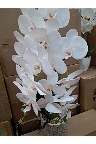 Abasic Artificial flowers in ceramic pot orchid wei A-80809