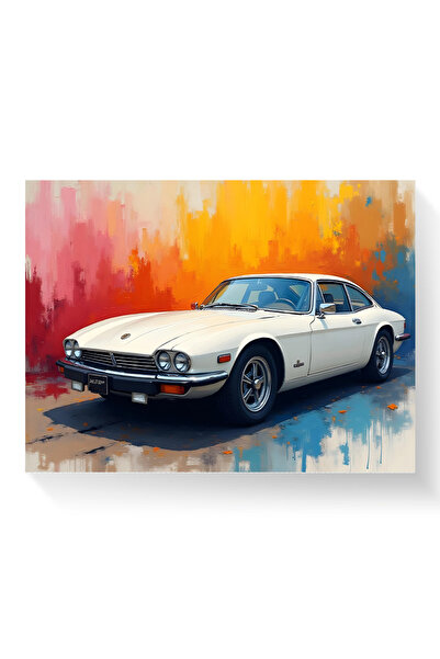 Printees Painting - Jaguar XJS - Canvas on chassis