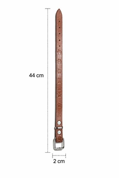 NORDVIA E-COMMERCE Adjustable Dog Collar – 44 X 2 cm