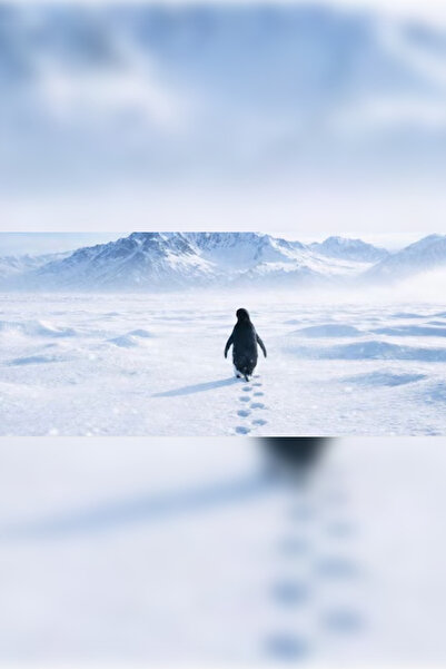 Universal Nihilist Penguin Minimalist Penguen Ve Karlı Dağlar Tasarımlı Dekor...