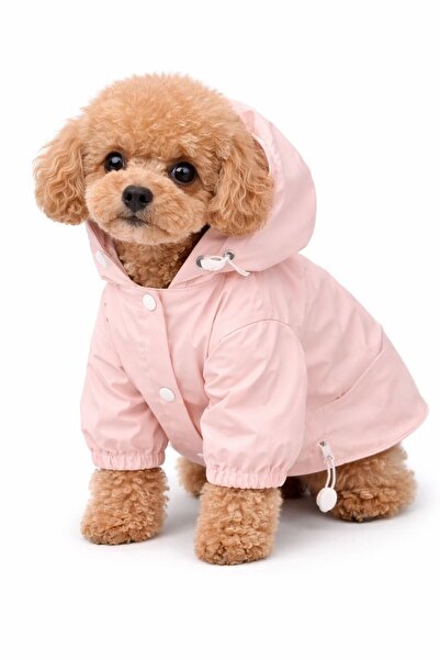 Dolce Pets Kedi Köpek Kıyafeti Köpek Yağmurluğu
