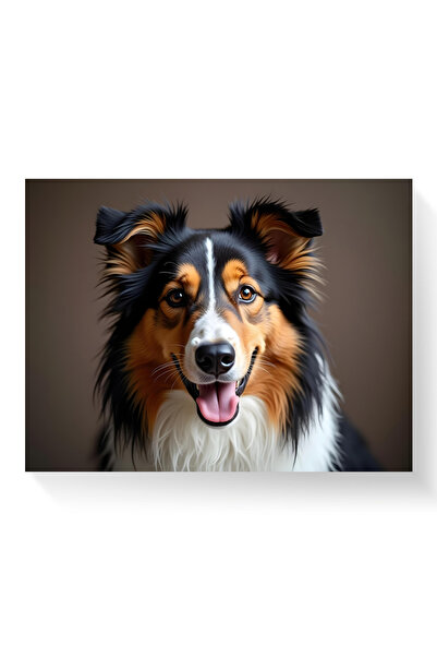 Printees Tablou - Collie - Canvas pe șasiu