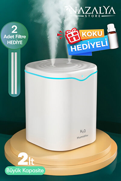 Double Spray Ultrasonic Air Humidifier Steam Machine with 2 Liter Typ-c Inlet