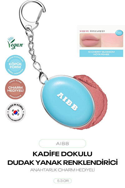 AIBB Kadife Dokulu Blur Etkili Dudak Ve Yanak Renklendirici Blur Tin Pot Char...